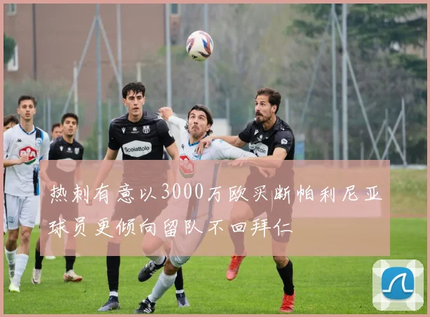 热刺有意以3000万欧买断帕利尼亚球员更倾向留队不回拜仁
