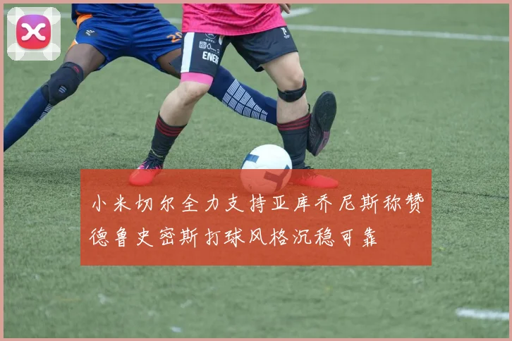 小米切尔全力支持亚库乔尼斯称赞德鲁史密斯打球风格沉稳可靠