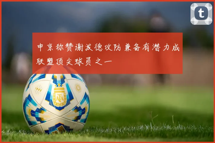 申京称赞谢泼德攻防兼备有潜力成联盟顶尖球员之一
